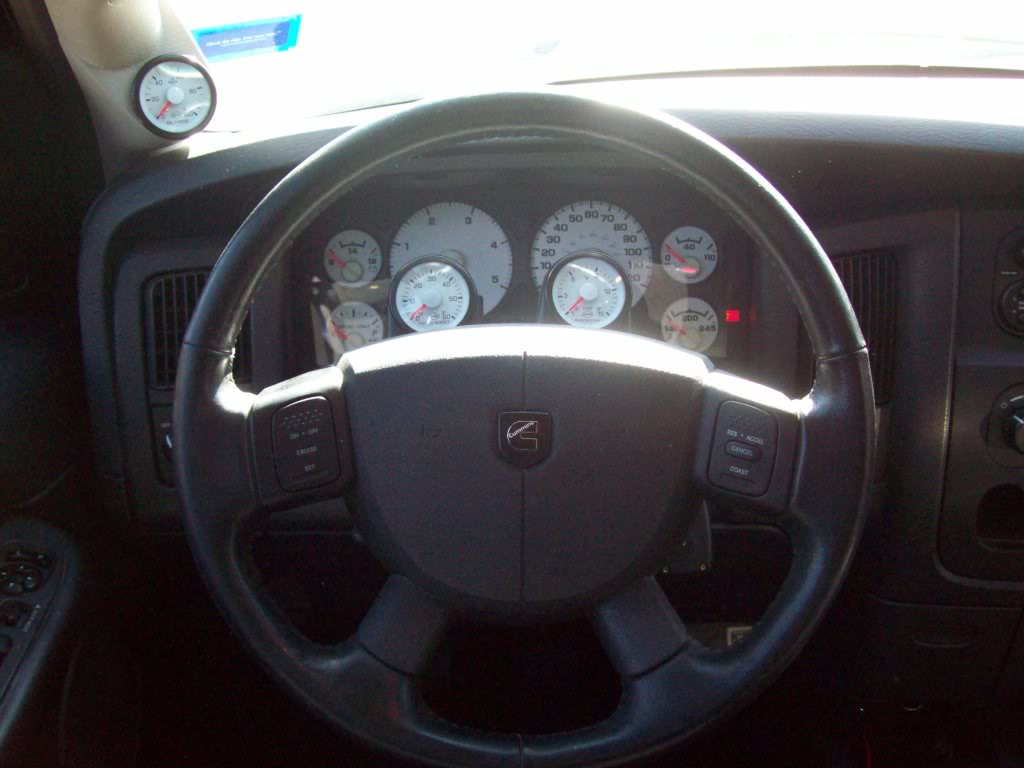 Name:  100_0917.jpg
Views: 1898
Size:  63.0 KB