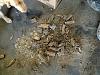 Exhaust Question-imageuploadedbytapatalk1329350606.032157.jpg
