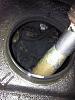 Had to share!!-033.jpg
