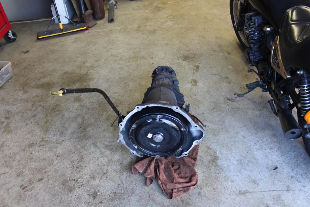 Name:  IMG_0621_zps794707b4.jpg
Views: 296
Size:  104.5 KB