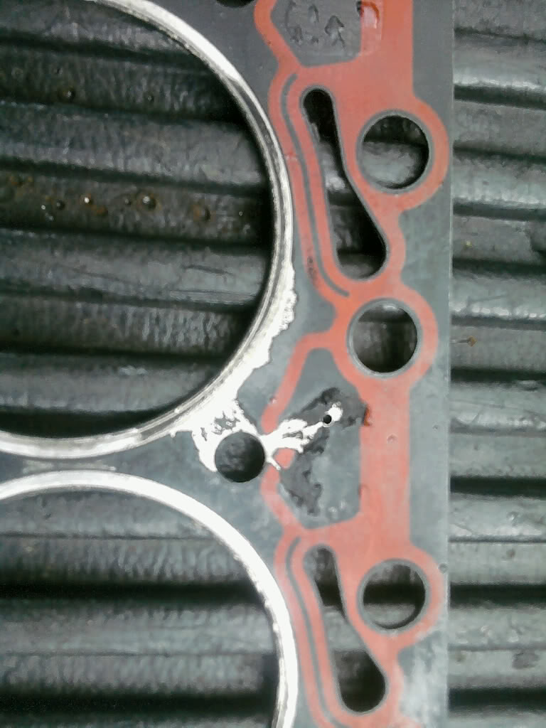 Name:  headgasket3.jpg
Views: 1274
Size:  100.3 KB