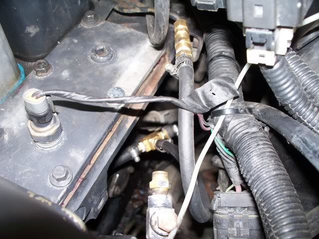 Name:  100_1418.jpg
Views: 618
Size:  78.6 KB