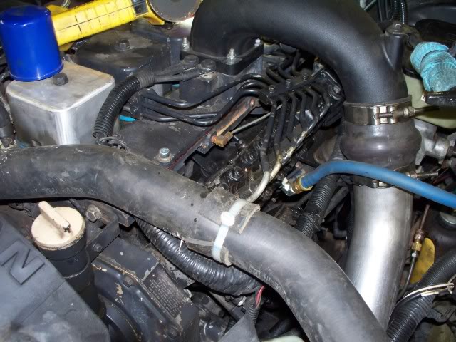 Name:  100_1419.jpg
Views: 613
Size:  79.0 KB