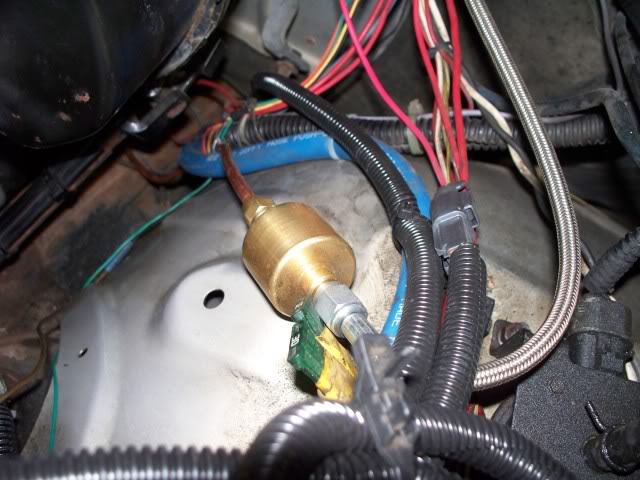 Name:  100_1420.jpg
Views: 589
Size:  69.7 KB