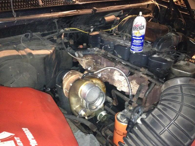 Name:  IMG_7783_zps102e0b83.jpg
Views: 728
Size:  77.6 KB