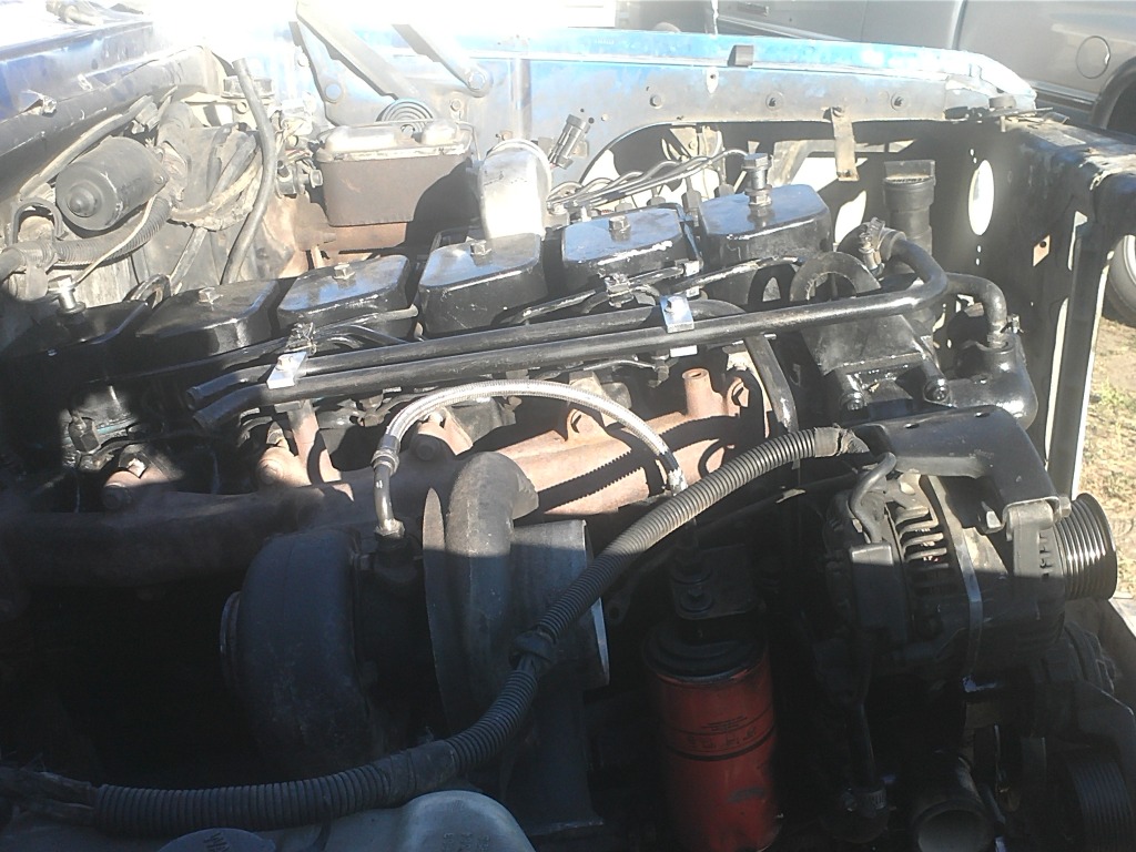 Name:  p-pumpinmy93006.jpg
Views: 739
Size:  247.9 KB