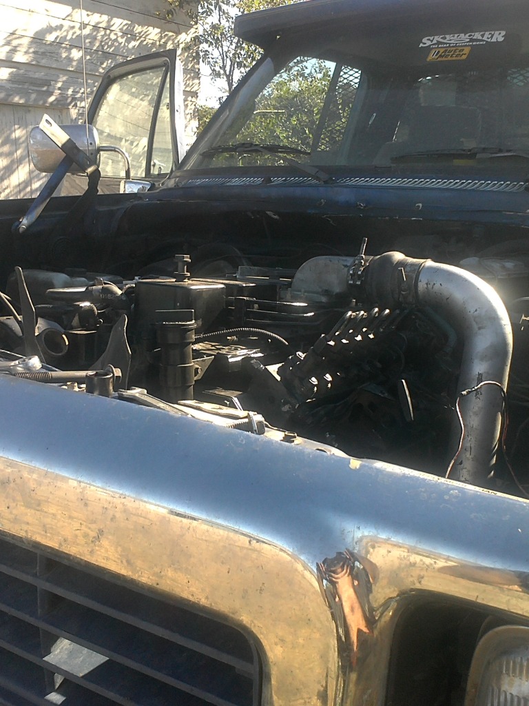 Name:  p-pumpinmy93008.jpg
Views: 138
Size:  256.0 KB