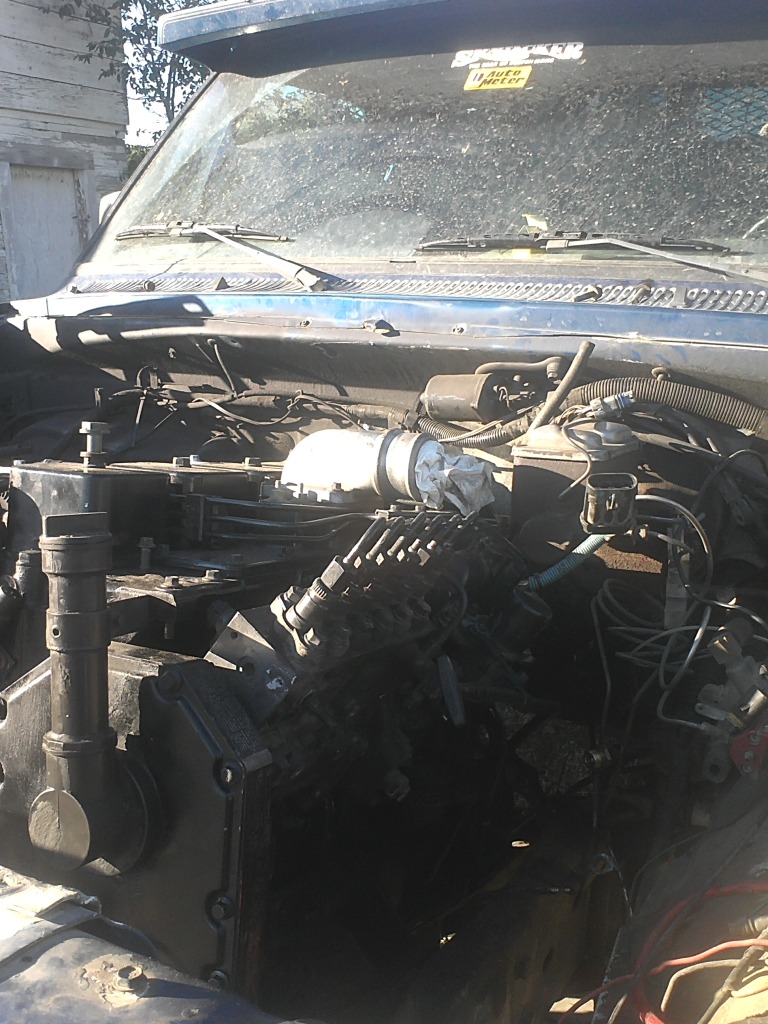 Name:  p-pumpinmy93004.jpg
Views: 100
Size:  274.0 KB