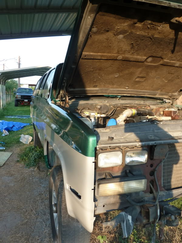 Name:  P1020998.jpg
Views: 3713
Size:  109.6 KB