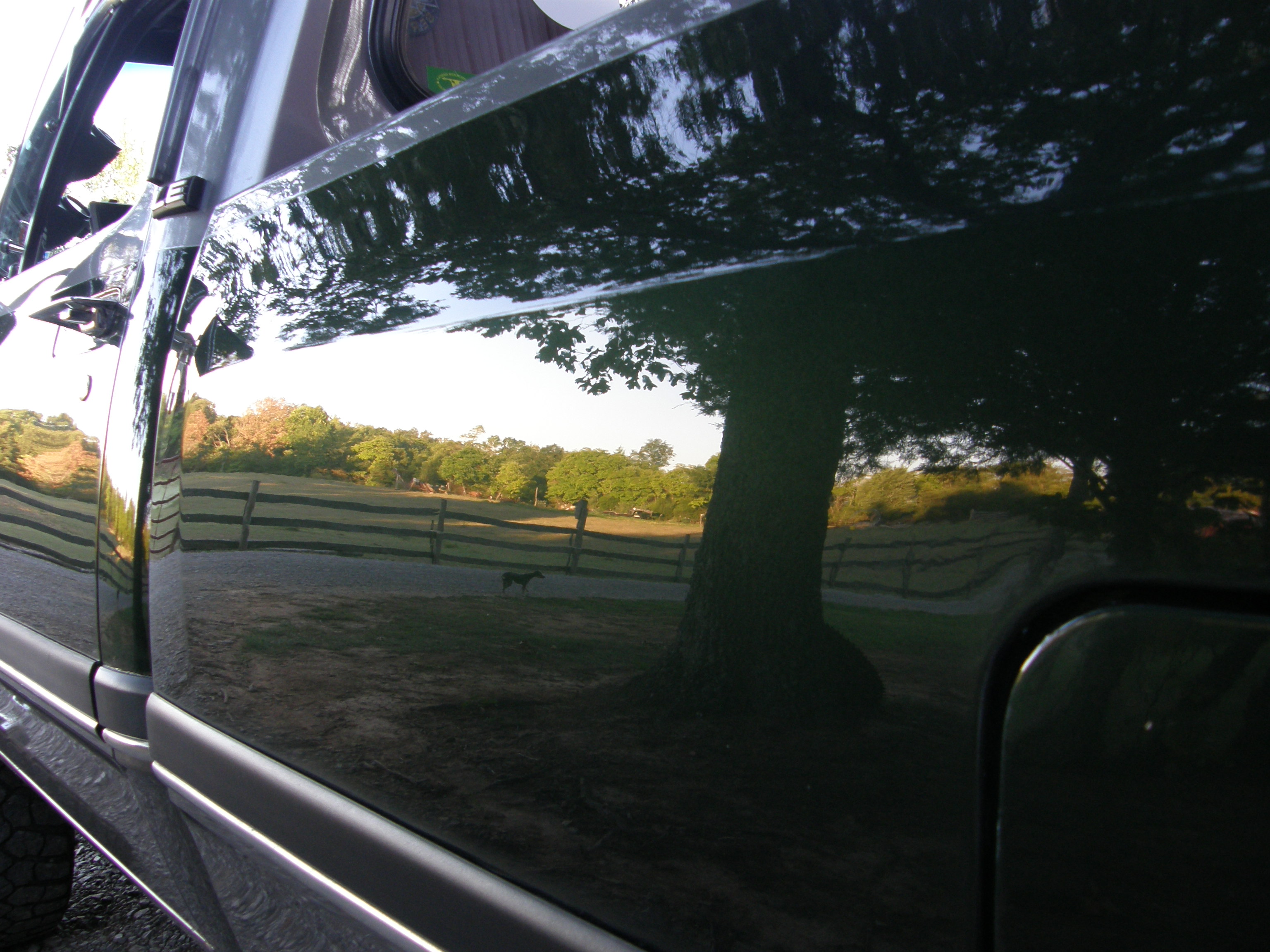 Name:  P8061399.jpg
Views: 3733
Size:  1.13 MB