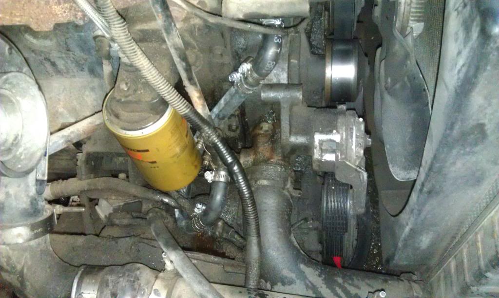 Name:  IMAG0196.jpg
Views: 9999
Size:  90.7 KB