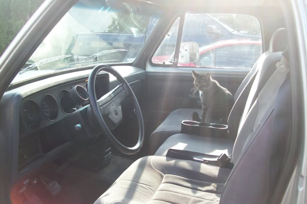 Name:  Seatandgaugeinstall016.jpg
Views: 622
Size:  85.5 KB