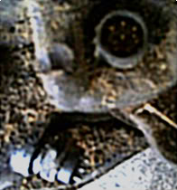 Name:  PHOT0258.jpg
Views: 73
Size:  11.3 KB