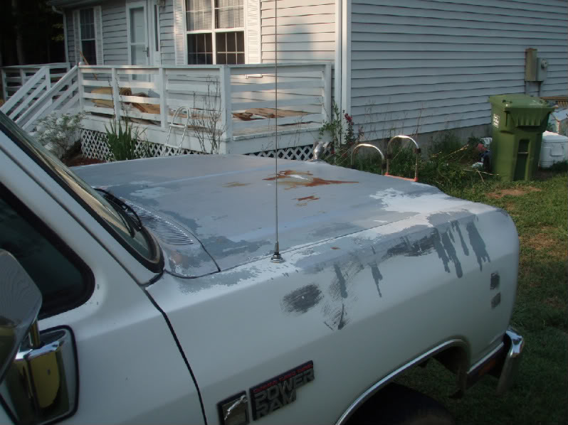 Name:  P8180639.jpg
Views: 95
Size:  84.5 KB