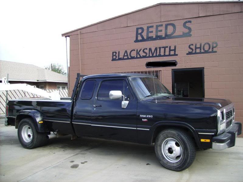 Name:  blackbeauty.jpg
Views: 141
Size:  84.0 KB