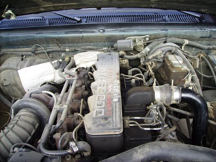 Name:  blackbeautyengine.jpg
Views: 159
Size:  98.5 KB