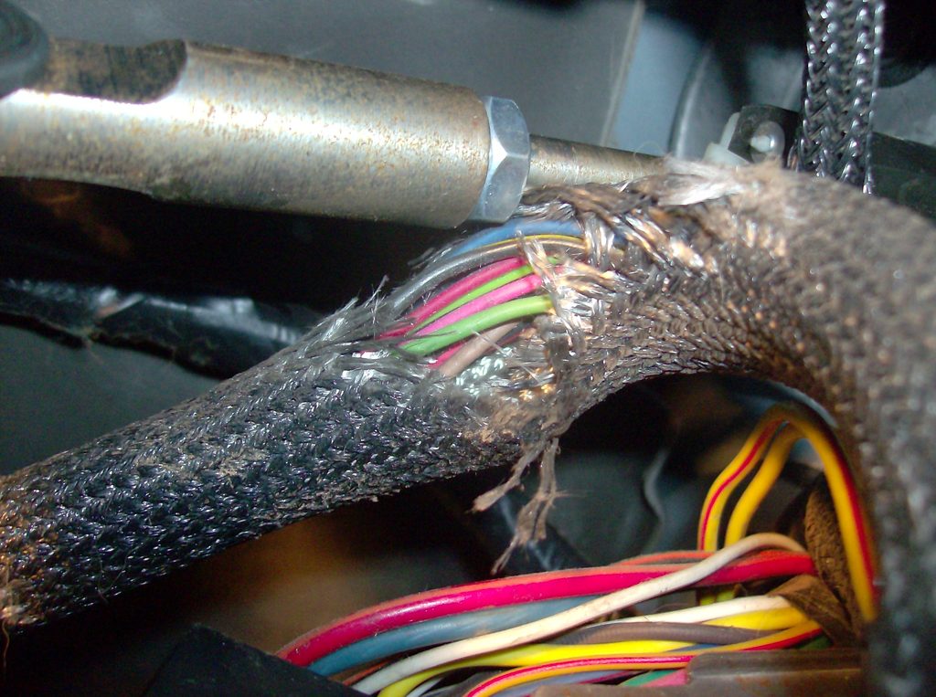 Name:  family%20pics%20886_zpssadp18wc.jpg
Views: 2980
Size:  161.1 KB