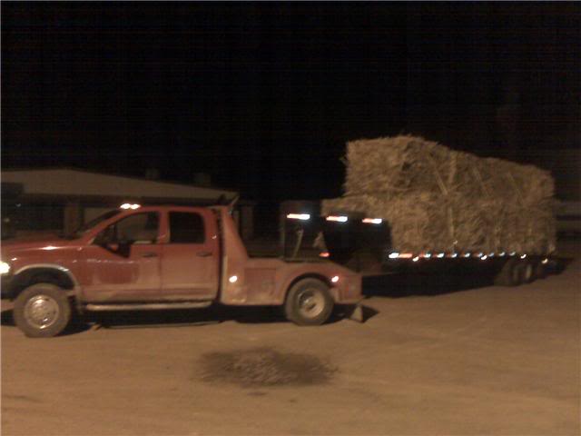 Name:  hayhaulin.jpg
Views: 361
Size:  24.3 KB