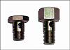 gauge connection-banjobolt.jpg