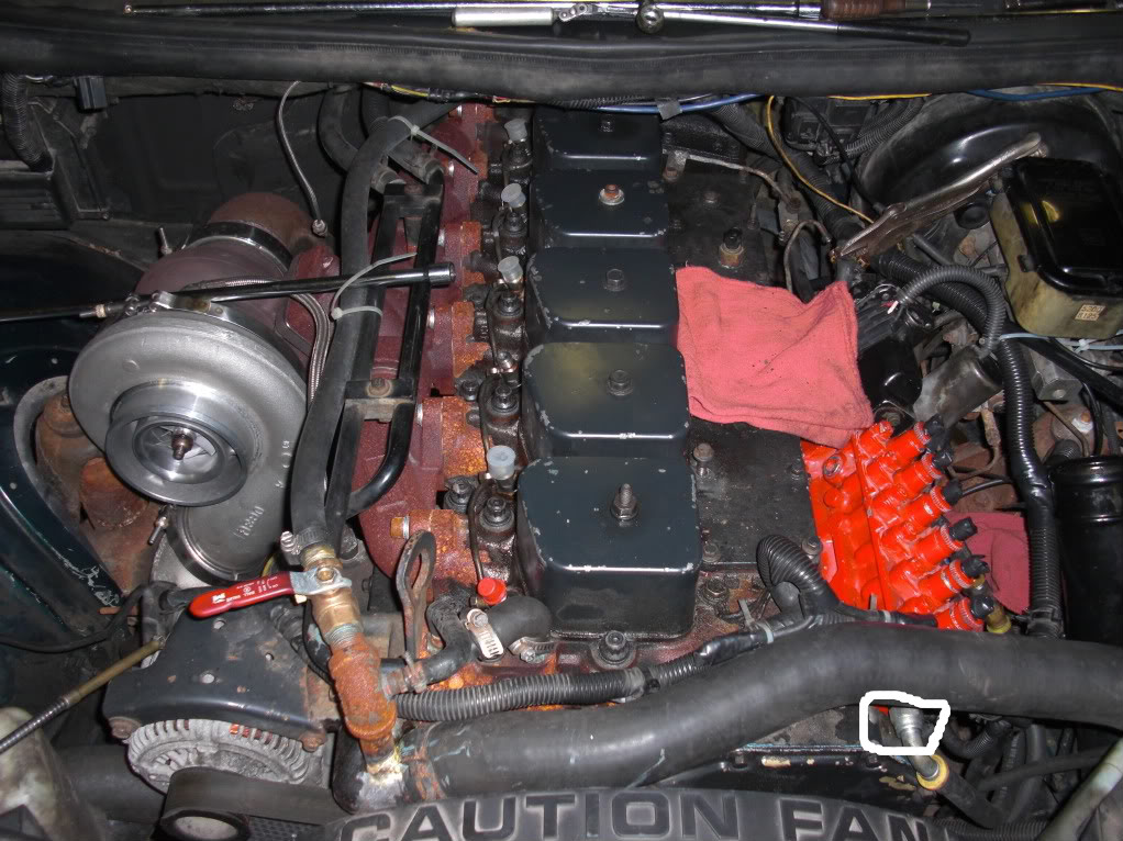 Name:  CIMG0290-1.jpg
Views: 2518
Size:  170.6 KB