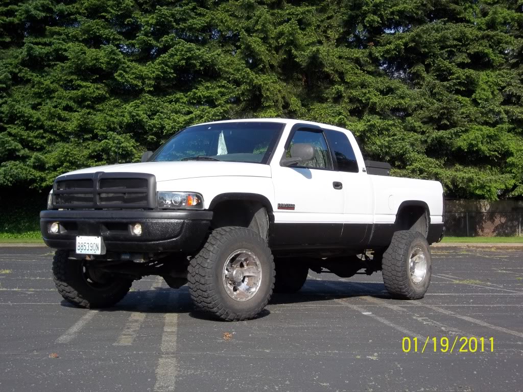 Name:  freshherculiner.jpg
Views: 172
Size:  217.1 KB