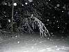 SNOW STORM-snow-storm-feb_5_2010-015.jpg