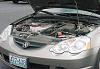Snake Underhood Of Car !!!!-att11.jpg