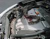 Snake Underhood Of Car !!!!-att22.jpg