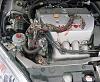 Snake Underhood Of Car !!!!-att44.jpg