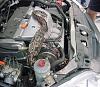 Snake Underhood Of Car !!!!-att55.jpg