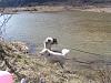 Animal Tracks.........-sonia-08-017.jpg