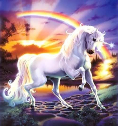 Name:  the_unicorns_rainbow_copyright_stev.jpg
Views: 26
Size:  37.8 KB