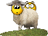 Name:  sheep.gif
Views: 8
Size:  16.0 KB