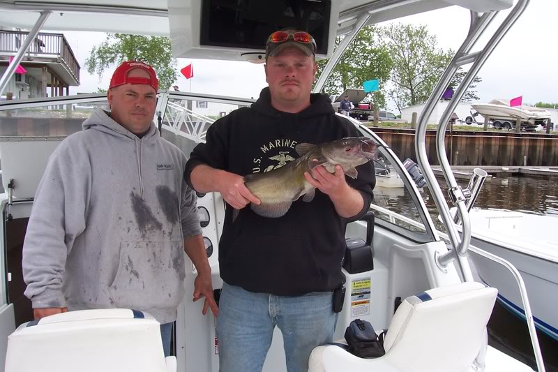 Name:  Random006.jpg
Views: 51
Size:  92.6 KB