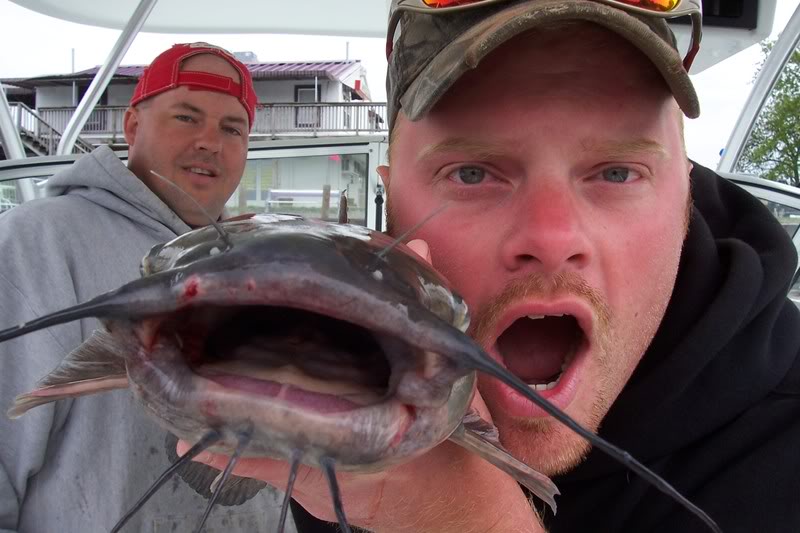 Name:  Random008.jpg
Views: 37
Size:  67.1 KB