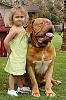 who's your real friend?-little-girl-big-dog.jpg