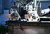 DIY Injector Pump-ipswap006.jpg