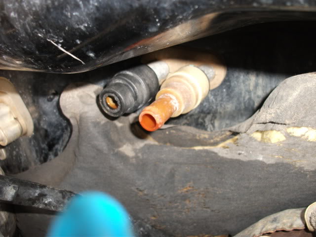 Name: DSCF0087.jpg
Views: 3690
Size: 69.1 KB