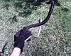 Power Steering Hose-img00242.jpg