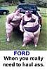 Who Weighs The Most ?-lee-sisters.jpg