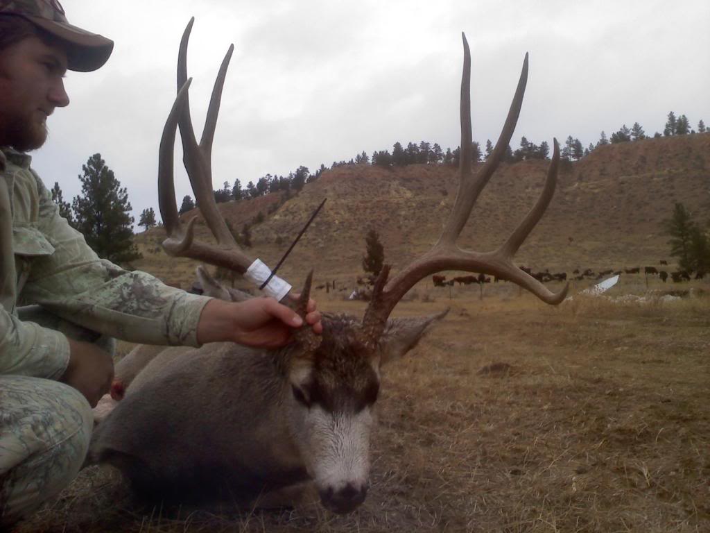 Name:  picture0002.jpg
Views: 85
Size:  75.2 KB