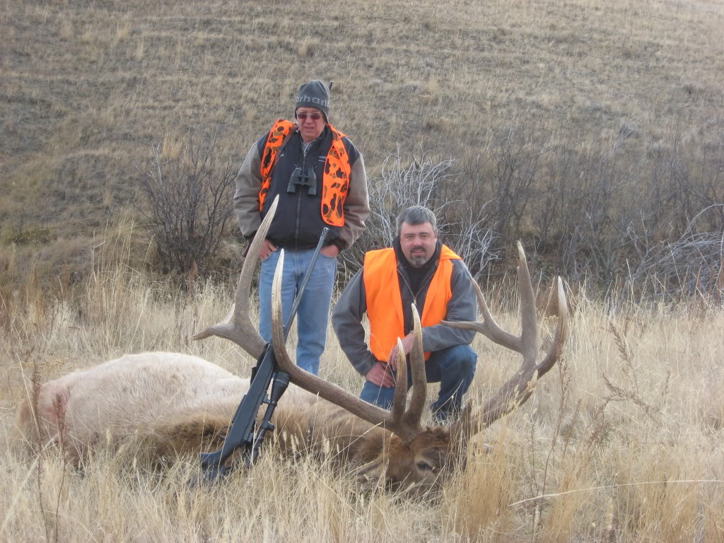 Name:  favoriteelkshot.jpg
Views: 201
Size:  214.6 KB