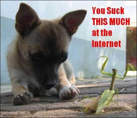 Name:  kungfu.jpg
Views: 17
Size:  26.3 KB
