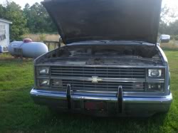Name:  38702280010_medium.jpg
Views: 30
Size:  10.0 KB