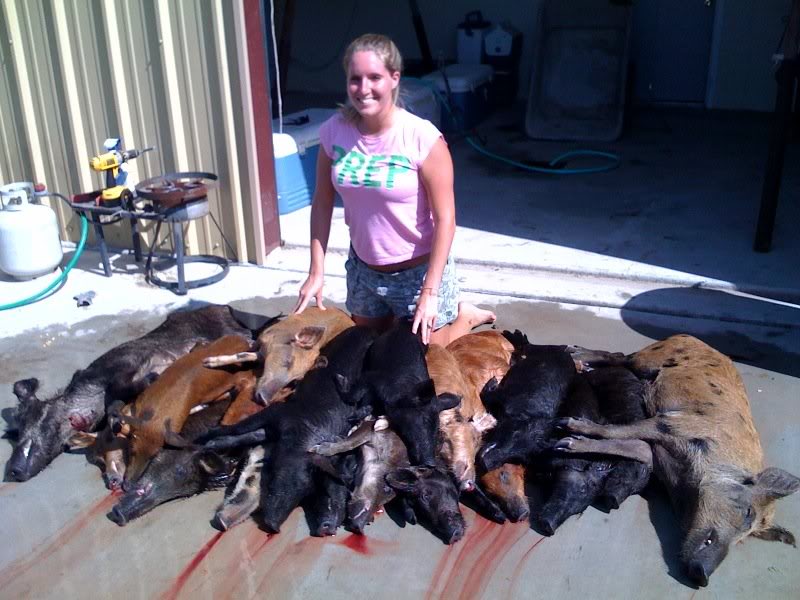 Name:  SamPigs2.jpg
Views: 16
Size:  80.7 KB