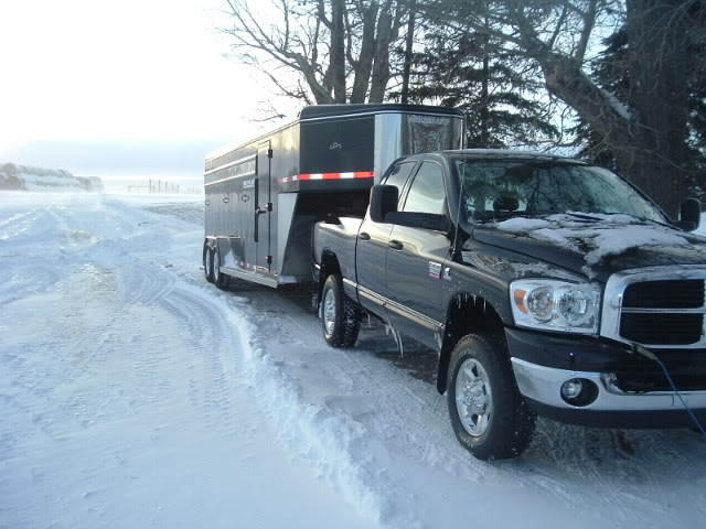 Name:  2003_0221truck070063.jpg
Views: 18
Size:  70.5 KB