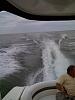 newbie from ohio-img_0028.jpg