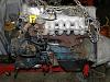 Comanche LD28 project-p8220618.jpg