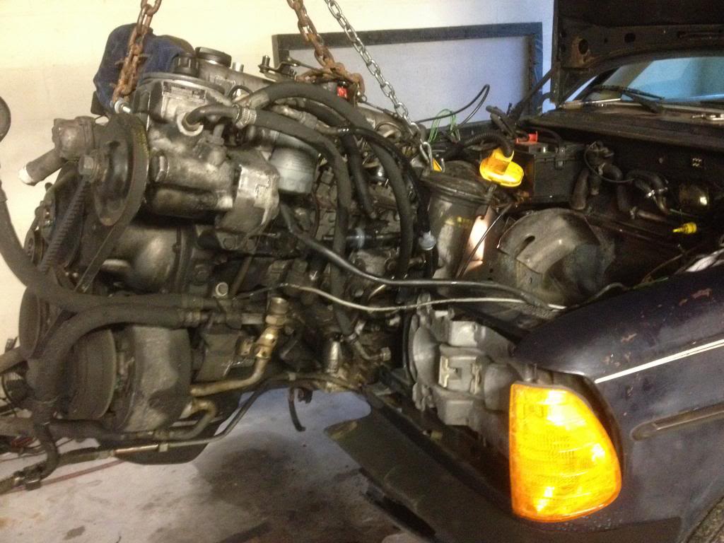 Name:  IMG_2316_zpsec3d4b2d.jpg
Views: 6013
Size:  103.3 KB