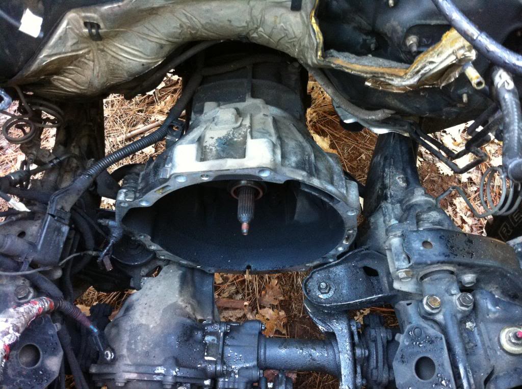 Name:  IMG_0927_zps1fd09eb2.jpg
Views: 187
Size:  145.0 KB